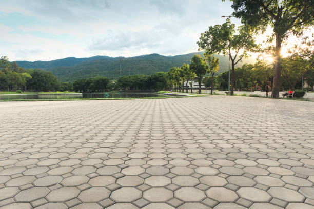 Best Best Driveway Pavers  in Tipton, CA